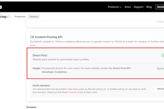 help you get tiktok content posting API approved