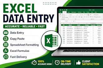 do excel data entry, copy paste,data cleaning and formatting