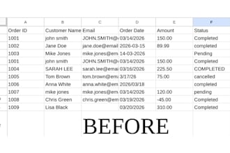 clean and standardize messy data so it is ready to use