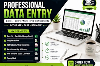 do professional data entry, excel, copy paste and PDF conversion