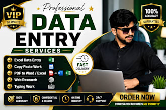 do professional data entry, excel, copy paste and PDF conversion