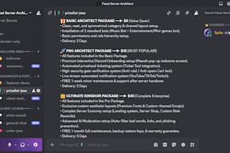setup a professional and secure discord server