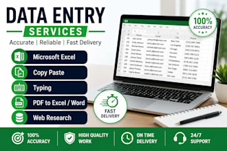 accurate data entry, copy paste ,  microsoft excel and typing