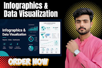 design a professional infographic and information design your data visualization