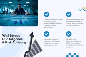 financial due diligence, advanced valuation, and risk advisory