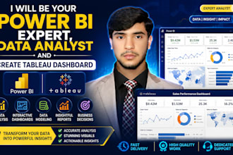 be your power bi expert, data analyst, and create tableau dashboard