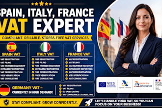 handle spain vat, italy vat, france vat registration filing compliance