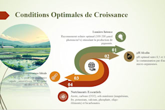 crée une présentation powerpoint professionnelle