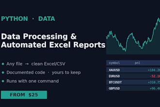 automate data processing and excel reports with python