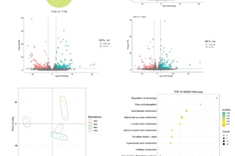 expert bioinformatics analysis and visualization