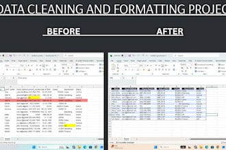 do professional excel data cleaning and formatting