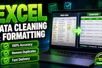 do professional excel data cleaning and formatting