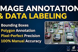 do high quality image annotation and data labeling
