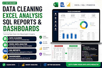 do data cleaning, excel data analysis, sql reports and dashboards