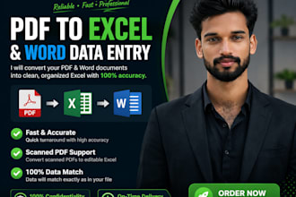 convert pdf to excel or word data entry
