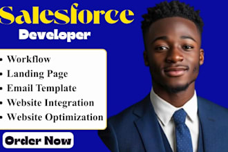 salesforce developer salesforce admin salesforce admin salesforce solution