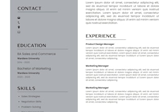 create a professional cv design