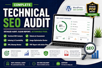 do a complete SEO audit for your wordpress website