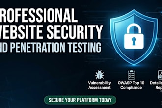 perform professional vapt and cyber security testing