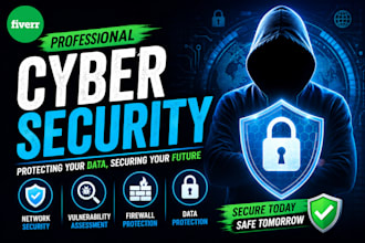 perform professional vapt and cyber security testing