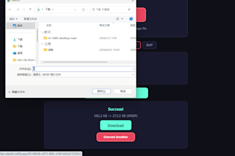 develop a custom web tool or utility for your website