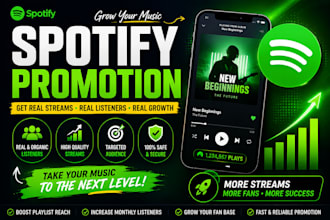 run effective ads campaign to promote spotify music promotion