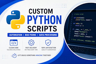 write python scripts, automate tasks, fix bugs, and create custom program