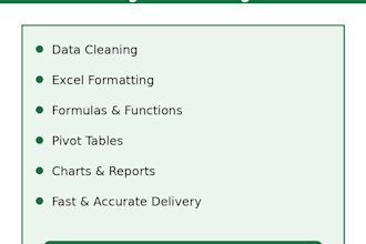 do microsoft excel data cleaning, formatting, and automation