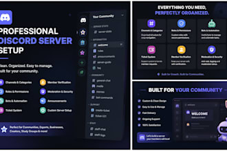 create and set up a professional discord server
