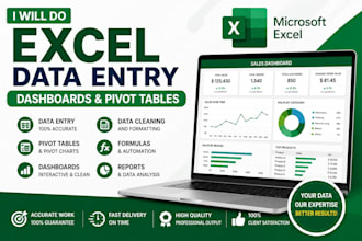 do microsoft excel data entry and dashboard creation