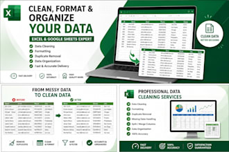 clean, format and organize excel data professionally