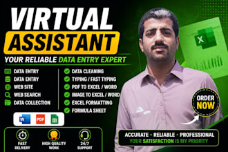 do data entry, ms excel expert, copy paste, data cleaning, fast typing english