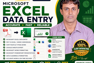 do microsoft excel data entry, PDF to excel, google sheets
