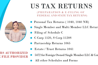 professionally prepare and file US tax returns for individual llc and corporate