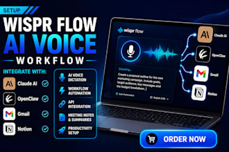 install configure setup integrate wispr flow with claude openclaw gmail notion