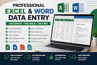 microsoft excel and word data entry