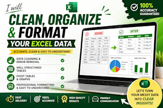 do microsoft excel data entry, cleaning, formatting, and spreadsheet tasks