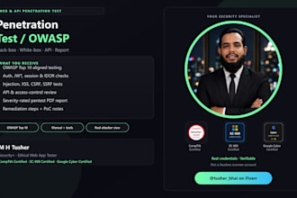 perform owasp web application and api penetration test with report