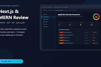 perform owasp web application and api penetration test with report