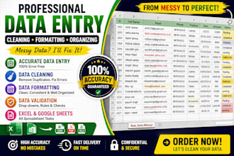 do accurate data entry, excel data cleaning and formatting