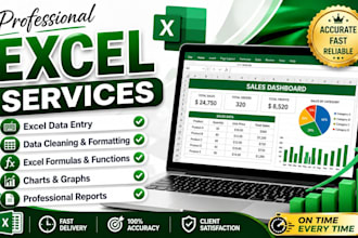 create and format professional excel spreadsheets and reports