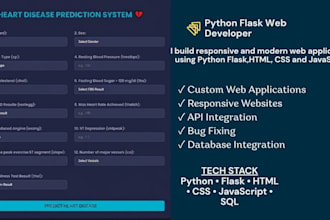 develop a professional python flask web application