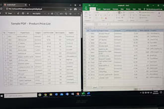 do precise data entry for any format data to excel