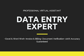do professional data entry, web research, and copy paste work