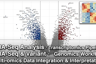 do bioinformatics rna seq dna seq analysis and variant calling