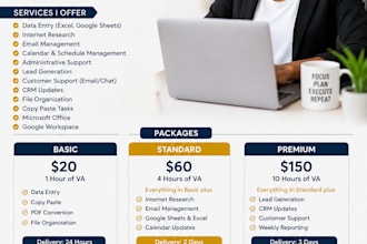 be your professional virtual assistant for admin, research, and data entry