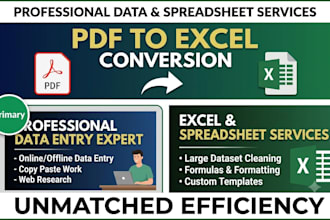 do professional data entry and expert ms excel data cleaning