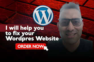 fix your wordpress website issue
