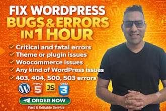 fix your wordpress website issue