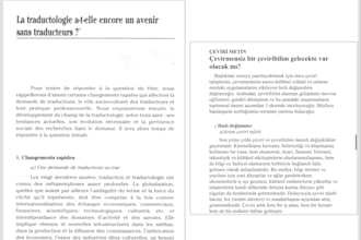 translate your documents accurately